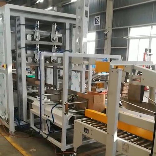 ZYL-ZX05自動食用油裝箱機(jī) 高效、可靠的跌落式裝箱自動化解決方案